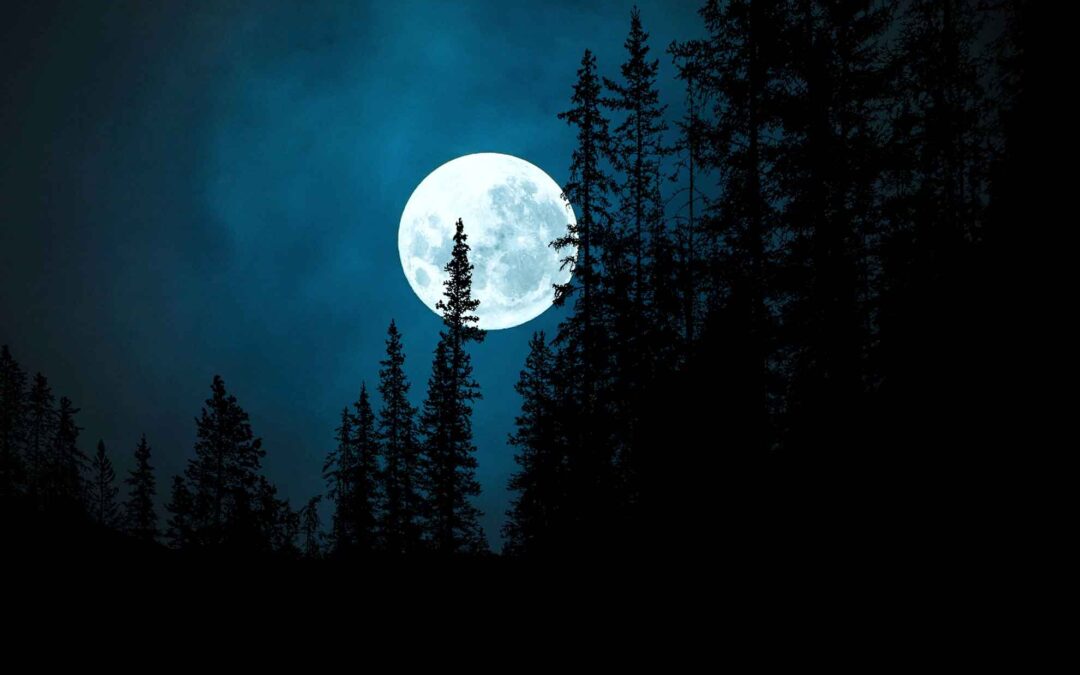 Online Moon Meditation