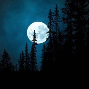 Online Moon Meditation